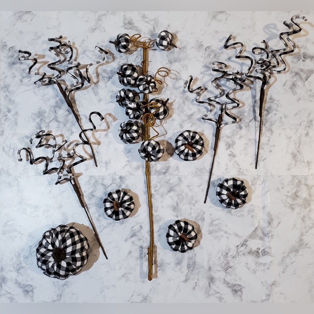 Black and White Checker Pumpkins With Checker Twisted Branches And Pumpkin Stem